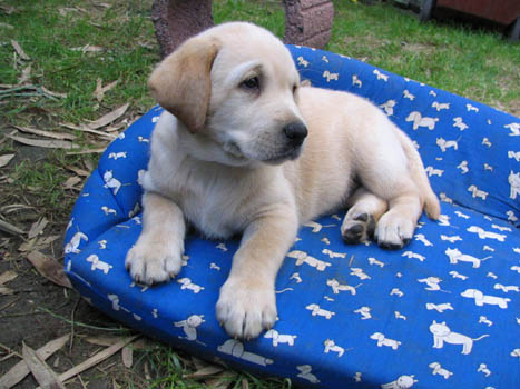 Kopie (1) von IMG_0181