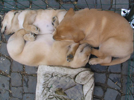 Kopie (1) von IMG_0188