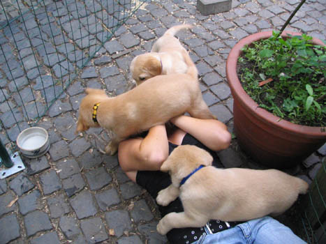 Kopie (1) von IMG_0216