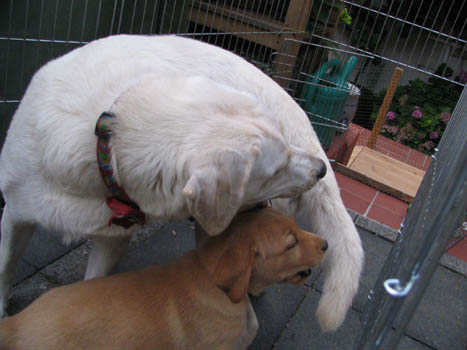 Kopie (1) von IMG_0248