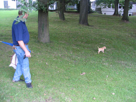 Kopie (1) von IMG_0003