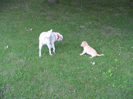 Kopie (1) von IMG_0014