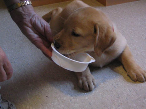 Kopie (1) von IMG_0055