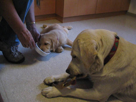 Kopie (1) von IMG_0061