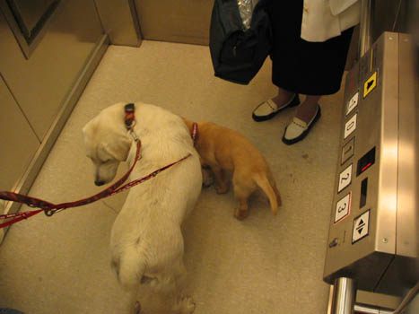 Kopie (1) von IMG_0075