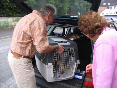 Kopie (1) von IMG_0114