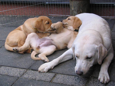 Kopie (1) von IMG_0332