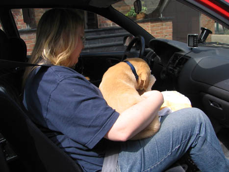 Kopie (1) von IMG_0364