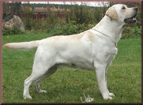 emils-papa_philip_001